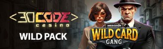 decode-wildpack.jpg
