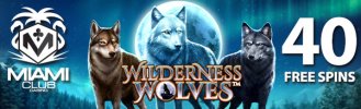 wildernesswolfes40fs.jpg