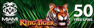 kingtiger50fsi.jpg