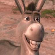 Donkey