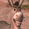 Donkey