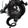 KOKITOTO
