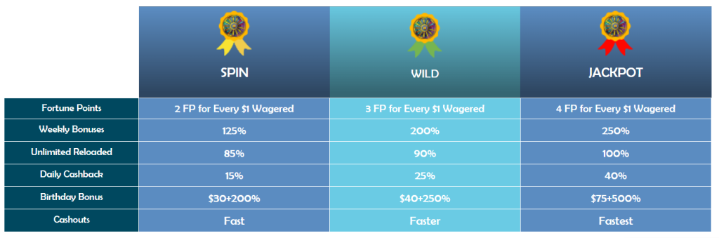 image-1024x339.png