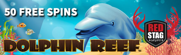 dolphinspins.jpg