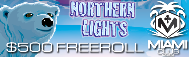 northernlightss.png